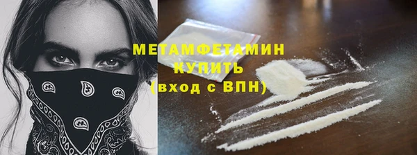 индика Инта