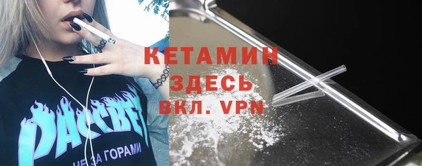 индика Инта