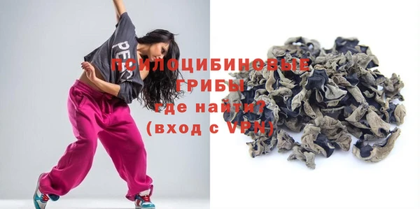 индика Инта