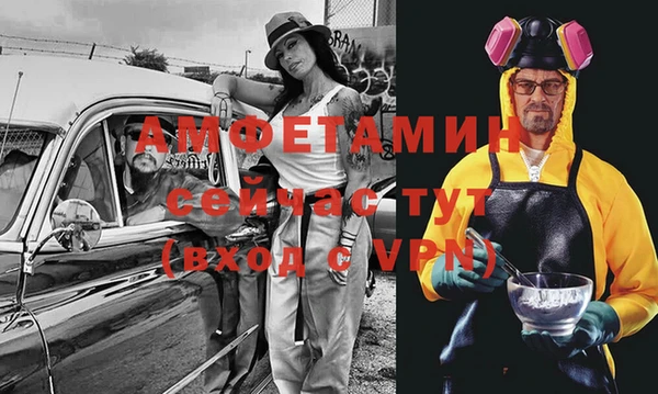 индика Инта