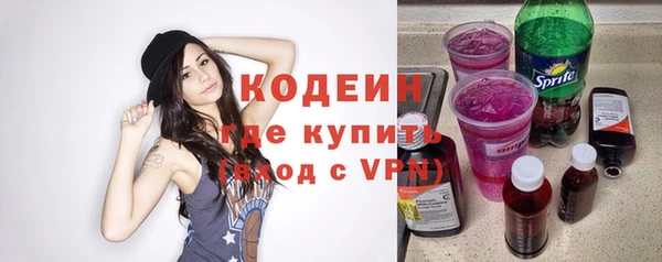 индика Инта