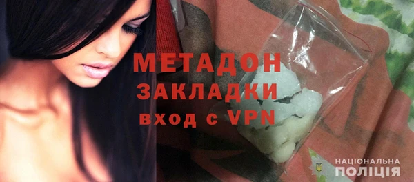 индика Инта