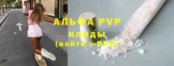 индика Инта