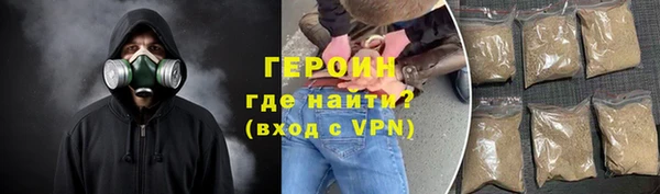 индика Инта
