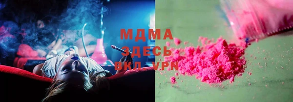 индика Инта