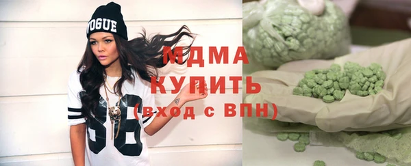 индика Инта