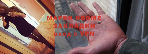 индика Инта