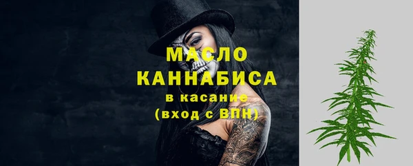 индика Инта