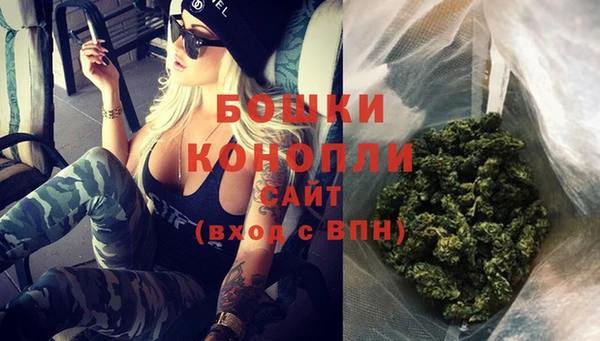 индика Инта