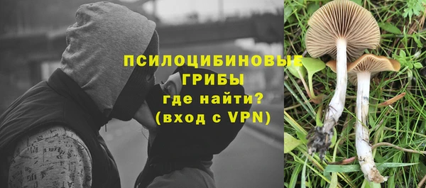 индика Инта