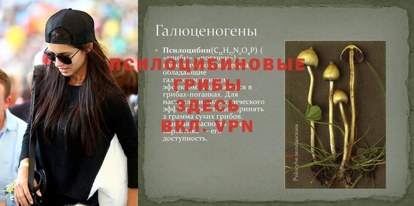 индика Инта
