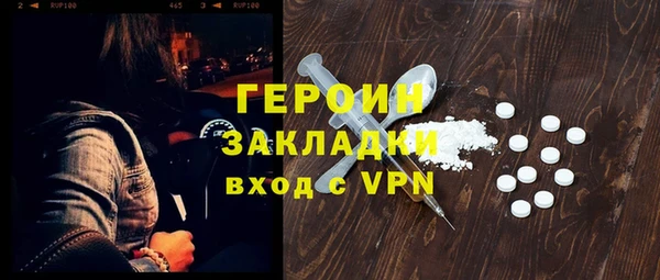 индика Инта